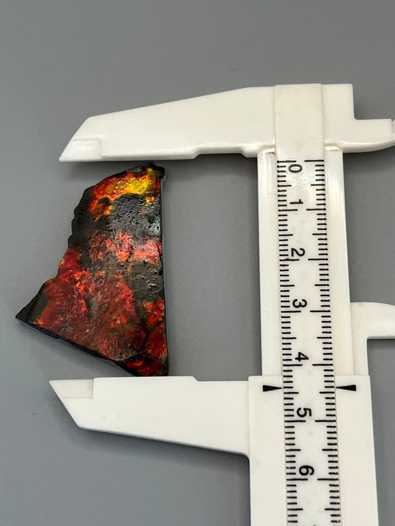 化石　原石　アンモライト　アンモナイト　カナダ産　幅4.4cm 箱付き