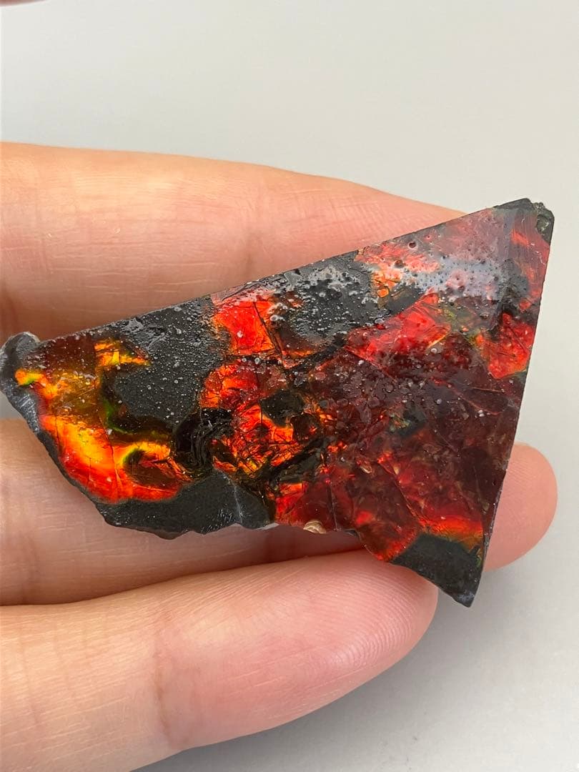 化石　原石　アンモライト　アンモナイト　カナダ産　幅4.4cm 箱付き