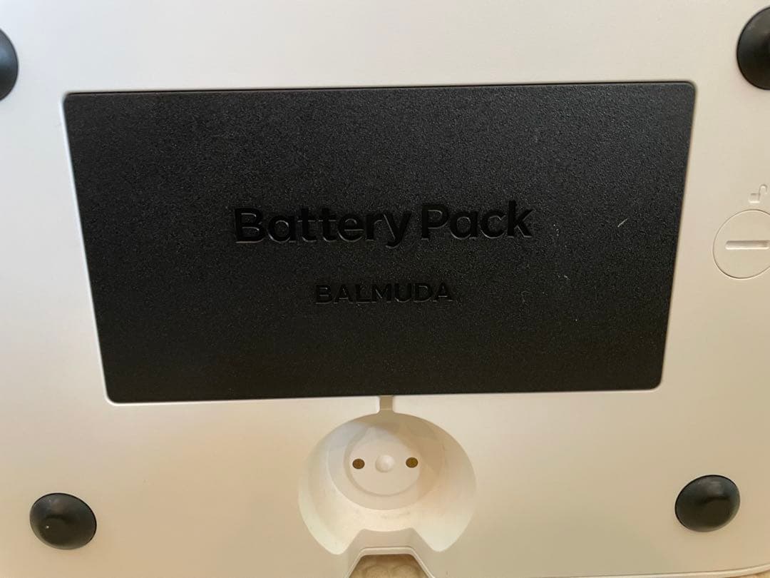 バルミューダ グリーンファンC2 GreenFan C2 本体