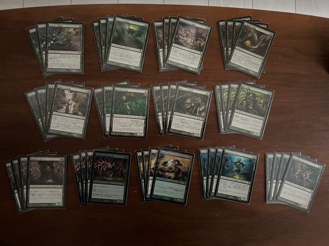 ぱ*か様 MTG シャドウムーア　日本語版　919枚セット