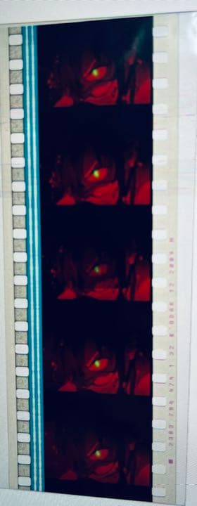 ビーストモード 2号機 マリ 生フィルム