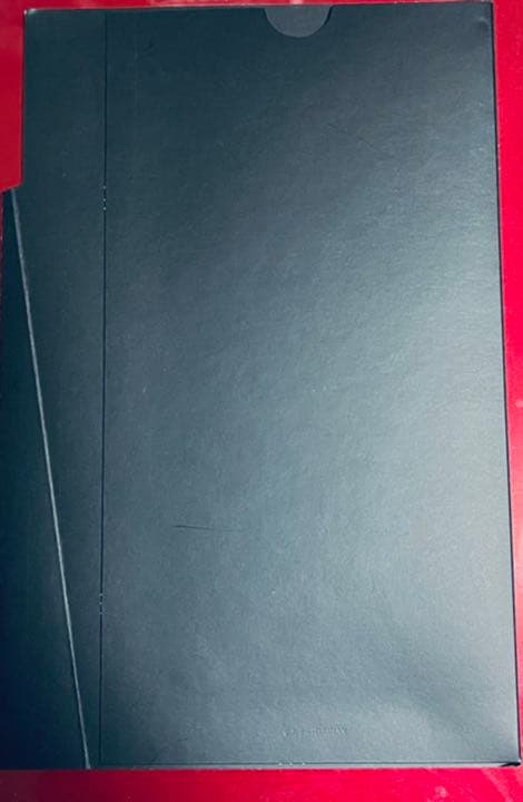 ビーストモード 2号機 マリ 生フィルム