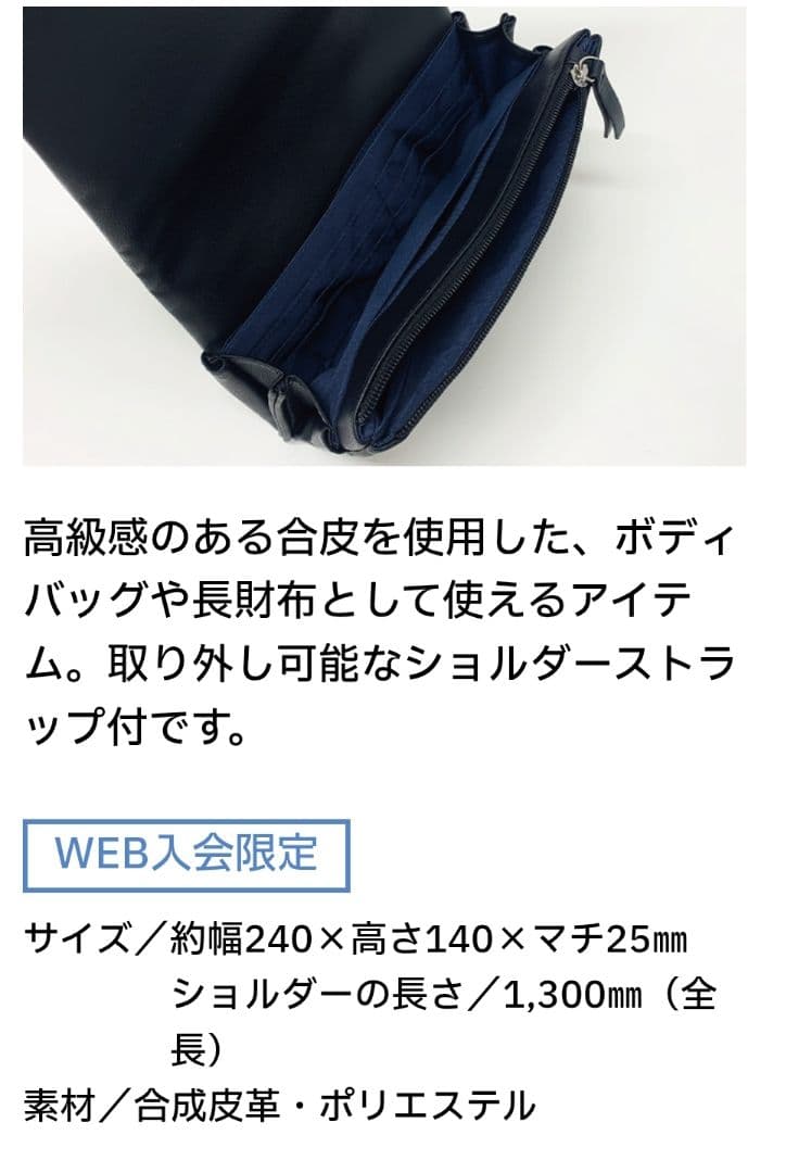 中日ドラゴンズ ショルダーストラップ付ウォレット(ドラチケクーポン2枚付)
