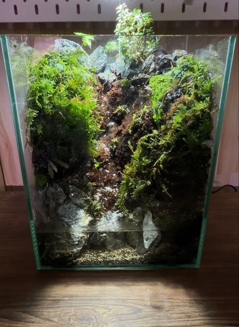 【受注生産】水が滴る渓谷のアクアテラリウム