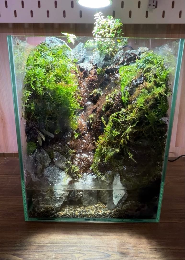 【受注生産】水が滴る渓谷のアクアテラリウム