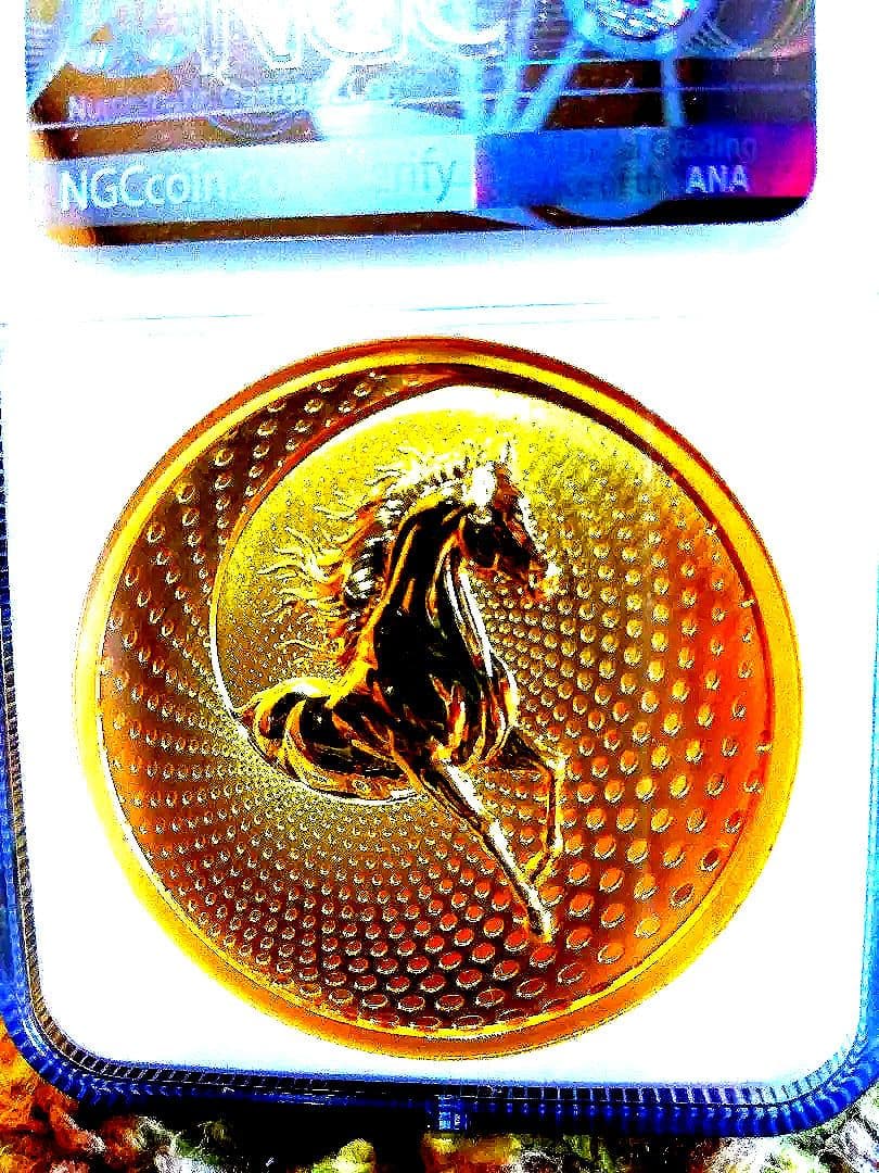 NGC MS70 最高鑑定 2024 世界 999枚 龍と馬  メダル