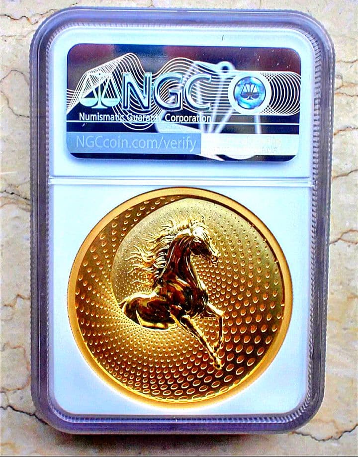 NGC MS70 最高鑑定 2024 世界 999枚 龍と馬  メダル