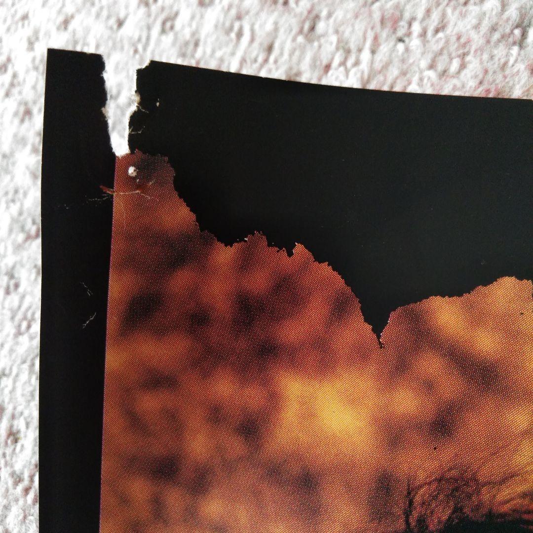 Ｘ ライブgoods ポスター2枚セット