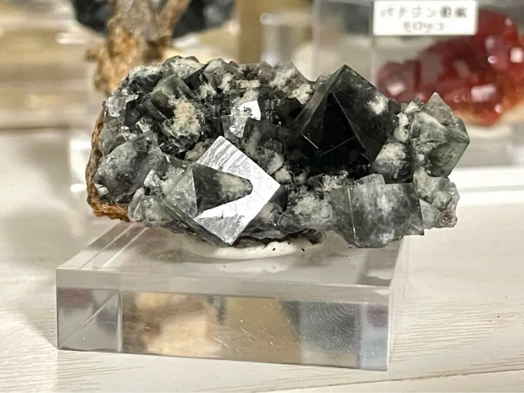 Diana Maria Smoky Rabbit Pocket フローライト