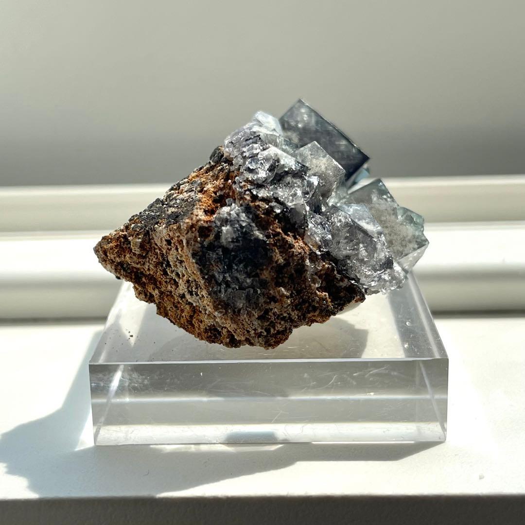 Diana Maria Smoky Rabbit Pocket フローライト