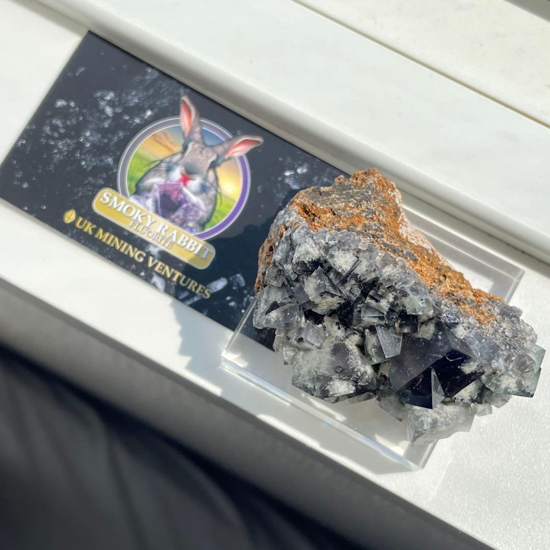 Diana Maria Smoky Rabbit Pocket フローライト