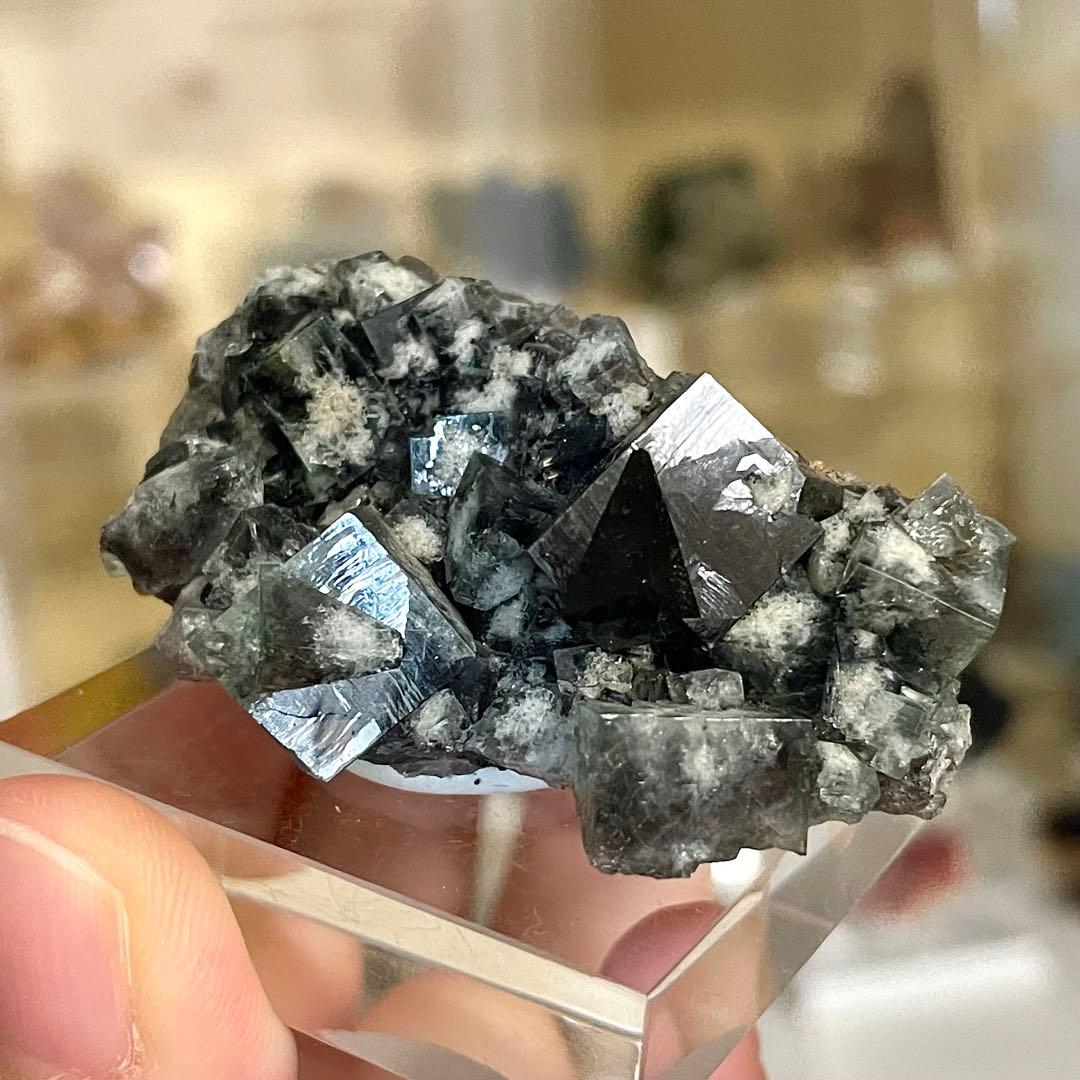 Diana Maria Smoky Rabbit Pocket フローライト