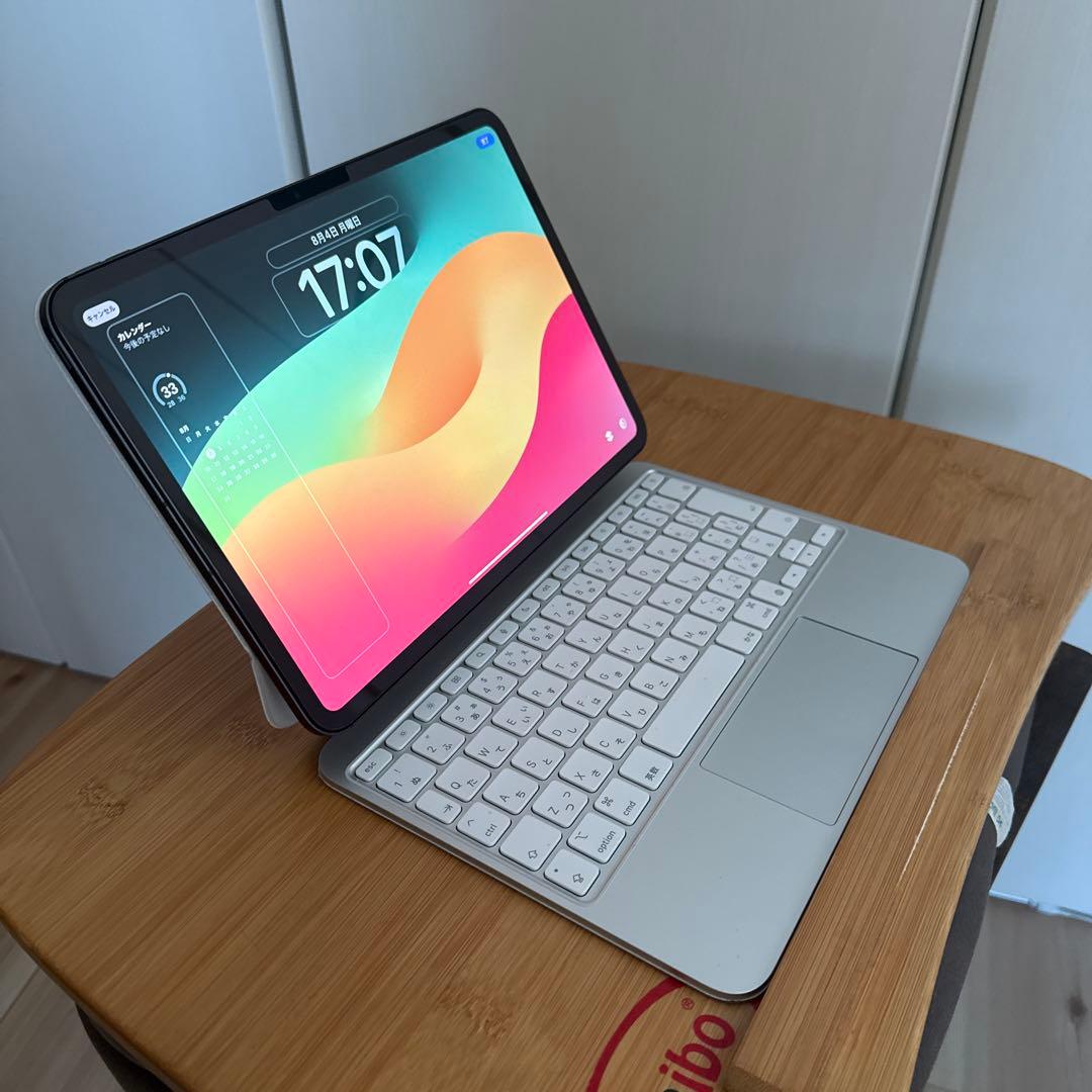 iPad Pro (M4) 11インチWi-Fi＋Cellular 512GB