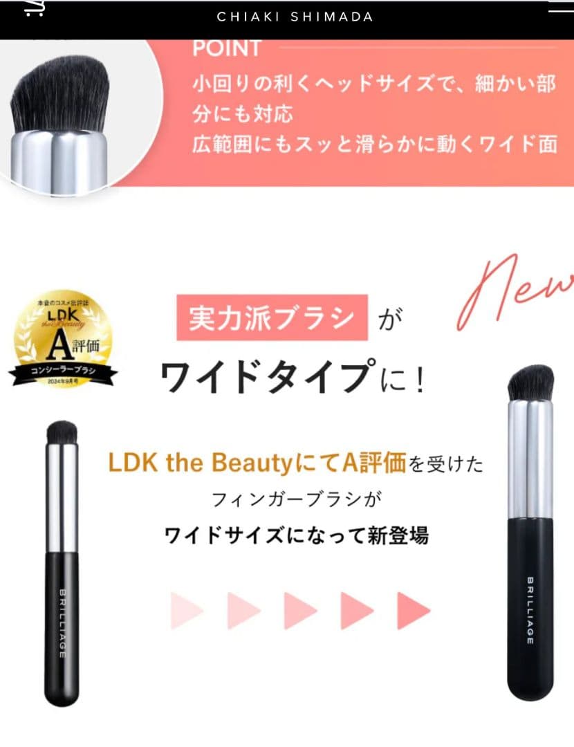 【BRILLIAGE 】カモフラージュコンシーラー2色&ワイドブラシセット