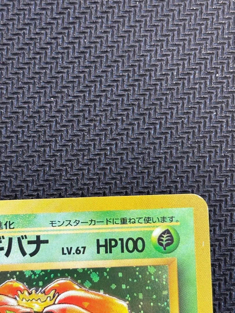 旧裏　かえんリザードン・カメックス・フシギバナ