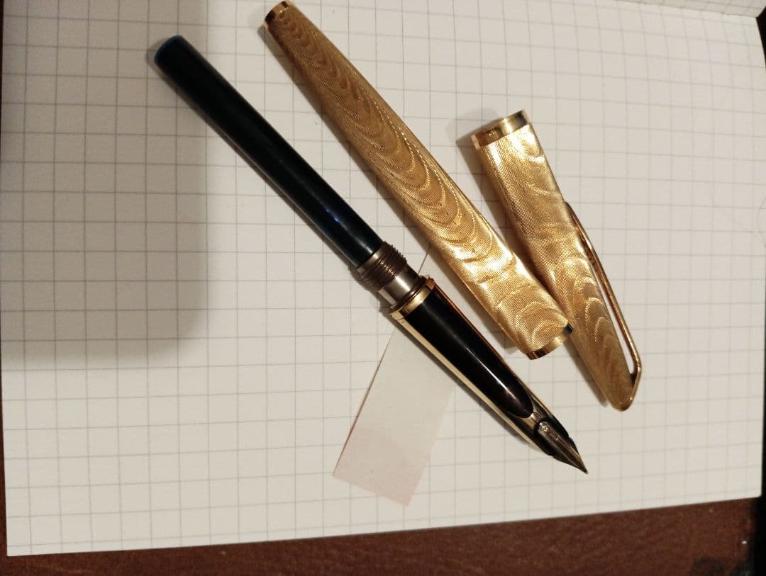 ウォーターマン　cp2　ビンテージのため半ジャンク扱い