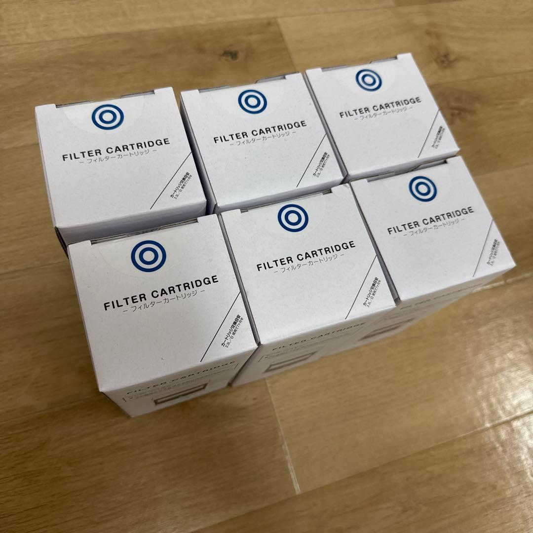 エブリーフレシャス　エブリィフレシャス　フィルター　カートリッジサーバ６個セット