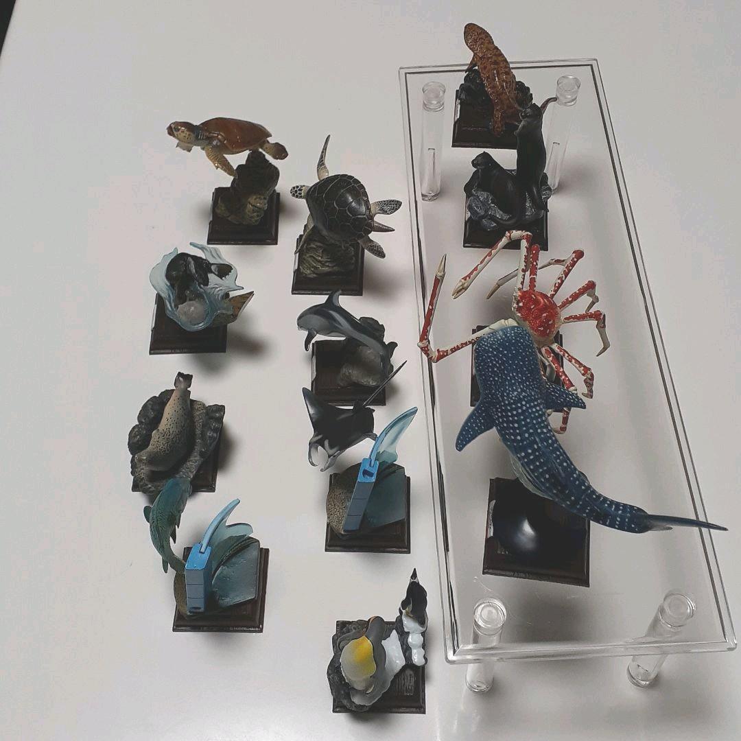 フィギュア　海遊館ミュージアム(全12種)コンプリート