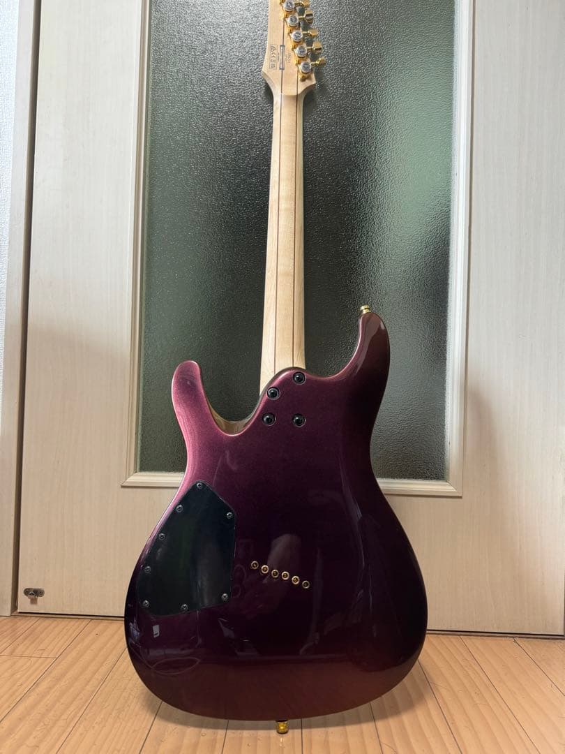 ギター Ibanez SML721-RGC