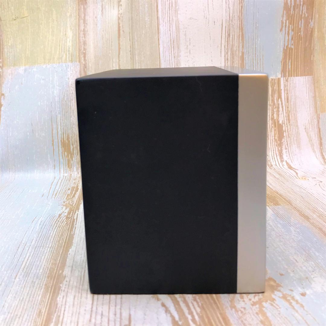 60周年記念 レア★眠れる森の美女 お城 オルショウスキー ウォルトディズニー