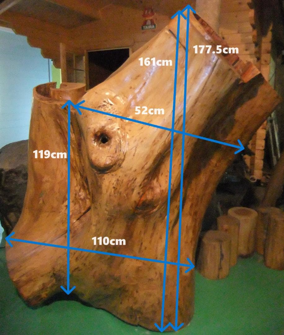 【稀少レア１点物】巨木★巨大樹木★自然派ナチュラル系、生け花【展示品★送料別】