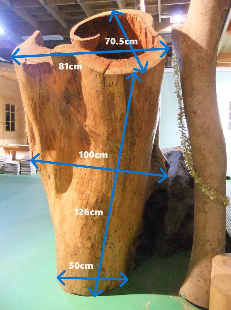 【稀少レア１点物】巨木★巨大樹木★自然派ナチュラル系、生け花【展示品★送料別】