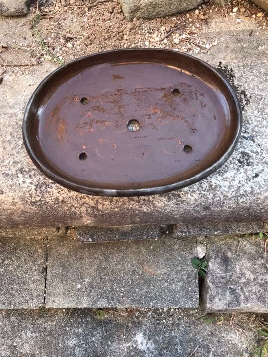 盆栽鉢　時代落款楕円縁入り盆栽鉢40.5x30.5x5cm支那鉢　和鉢