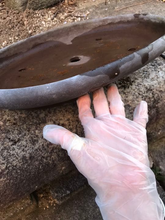 盆栽鉢　時代落款楕円縁入り盆栽鉢40.5x30.5x5cm支那鉢　和鉢