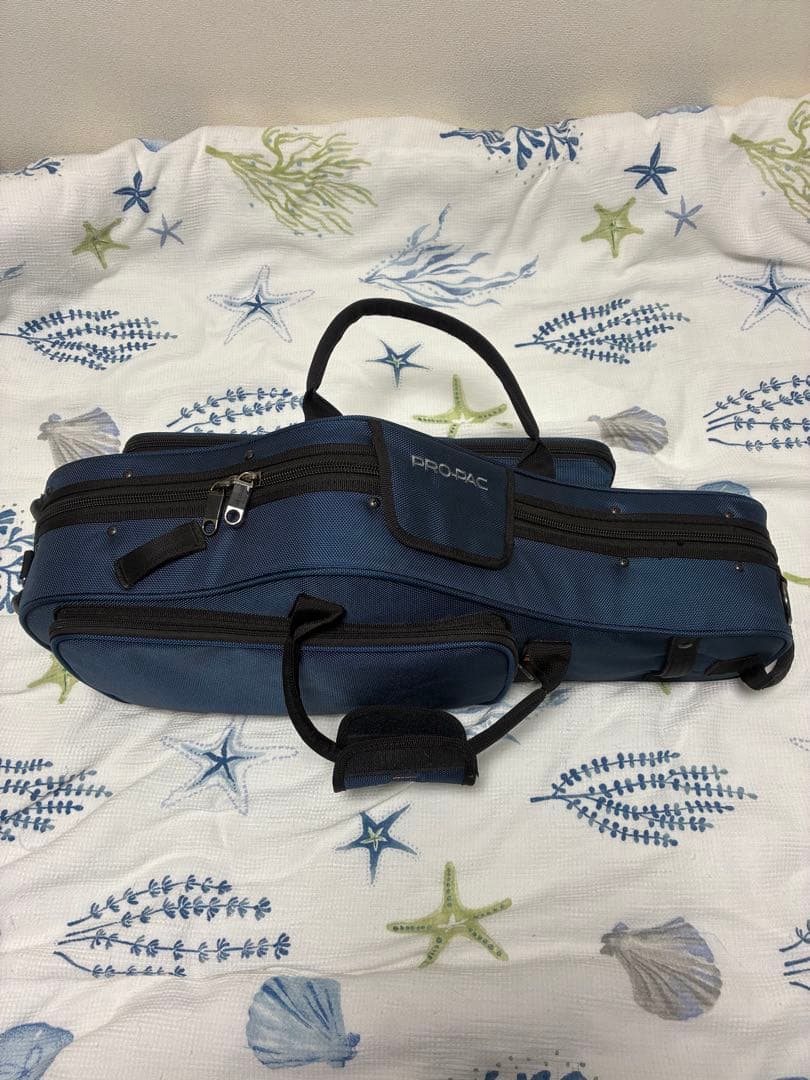 プロテック アルト用ケース PB304CTBX. バックパックストラップ付き