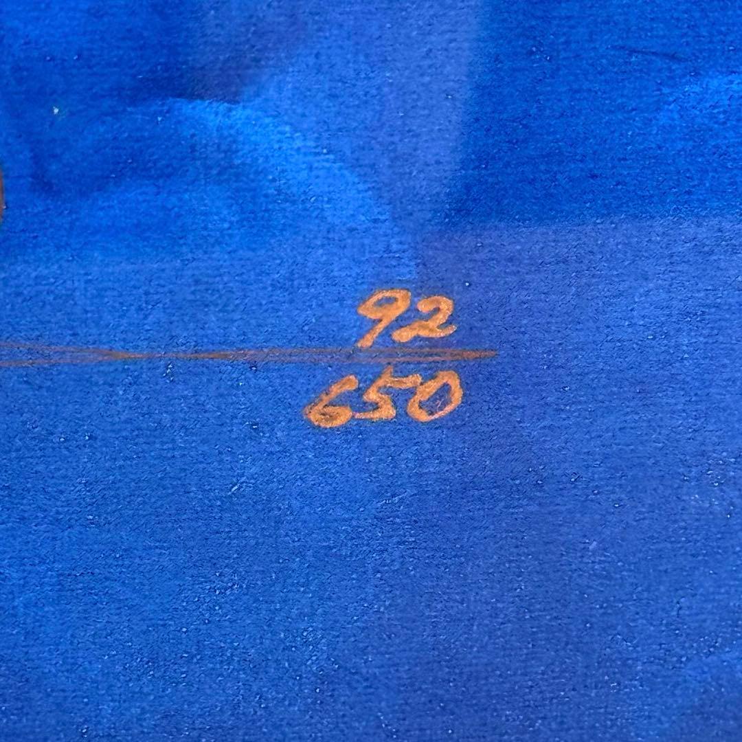 ジョン・ピトレー 「フリーダム」 直筆サイン有 マリンアート イルカ