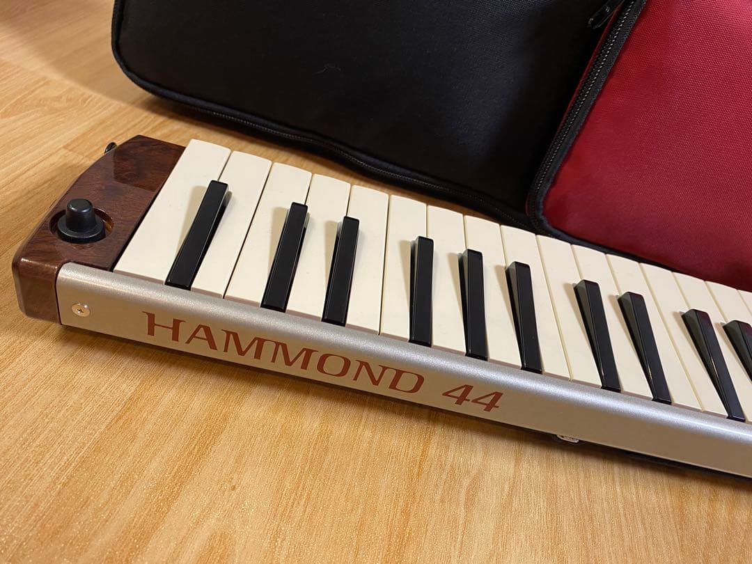 HAMMOND ハモンド PRO-44H 鍵盤ハーモニカ (ケース付き)