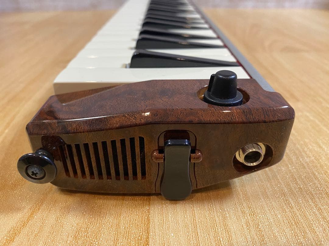 HAMMOND ハモンド PRO-44H 鍵盤ハーモニカ (ケース付き)