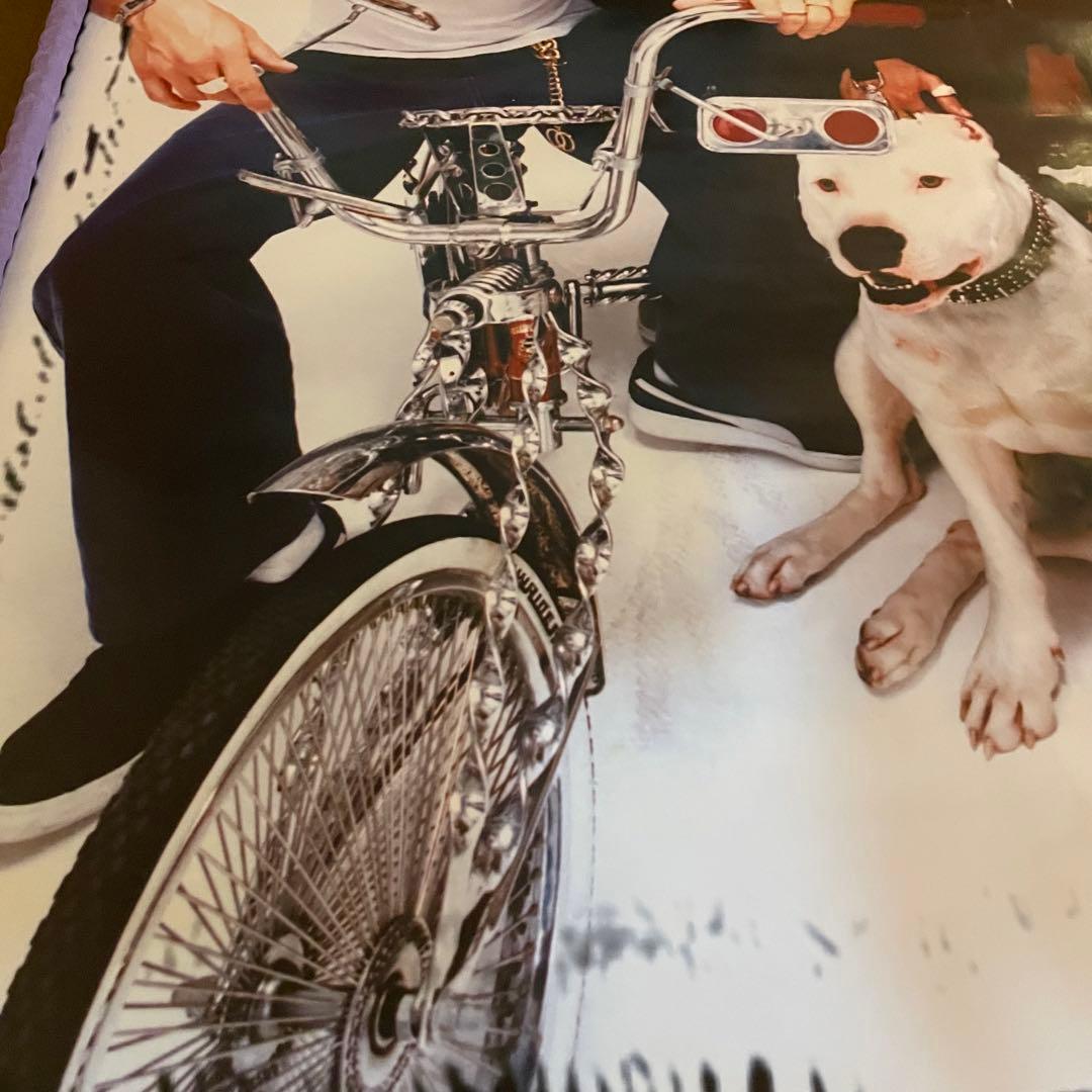 90s デッドストック KORN 大判ポスター