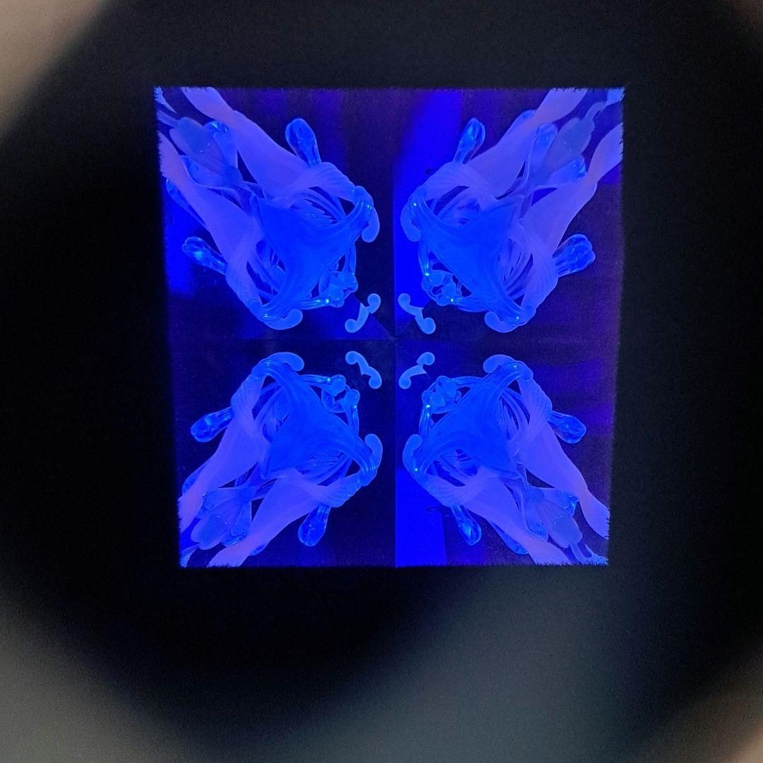 最終値下げ　代永正樹さん　ドライ万華鏡　1点物