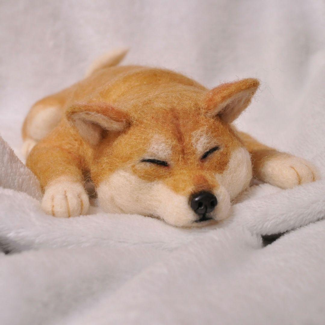 羊毛フェルト♡おねんねする柴犬