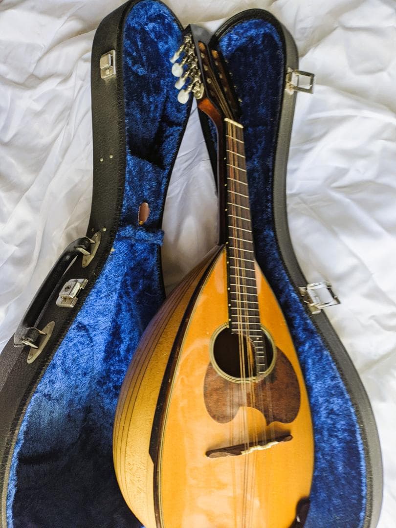 ✨SUZUKI M-30 木製 8弦マンドリン 本体 ＋ 専用ハードケース付き✨