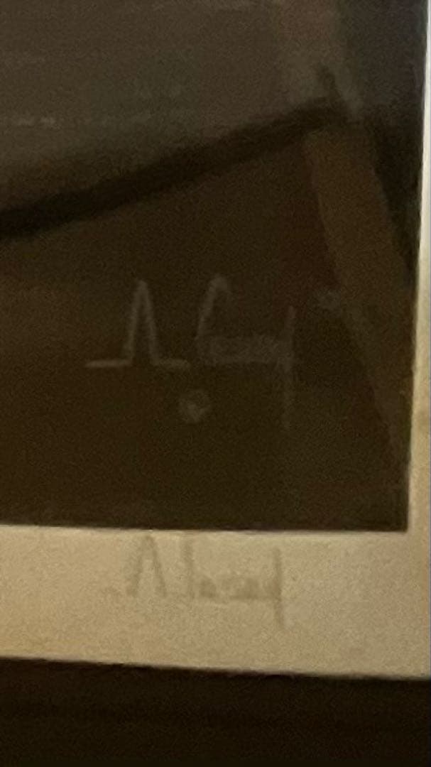 [保証書付]アンソニー・キャセイ　ハワイアンシルエット PP 10/10