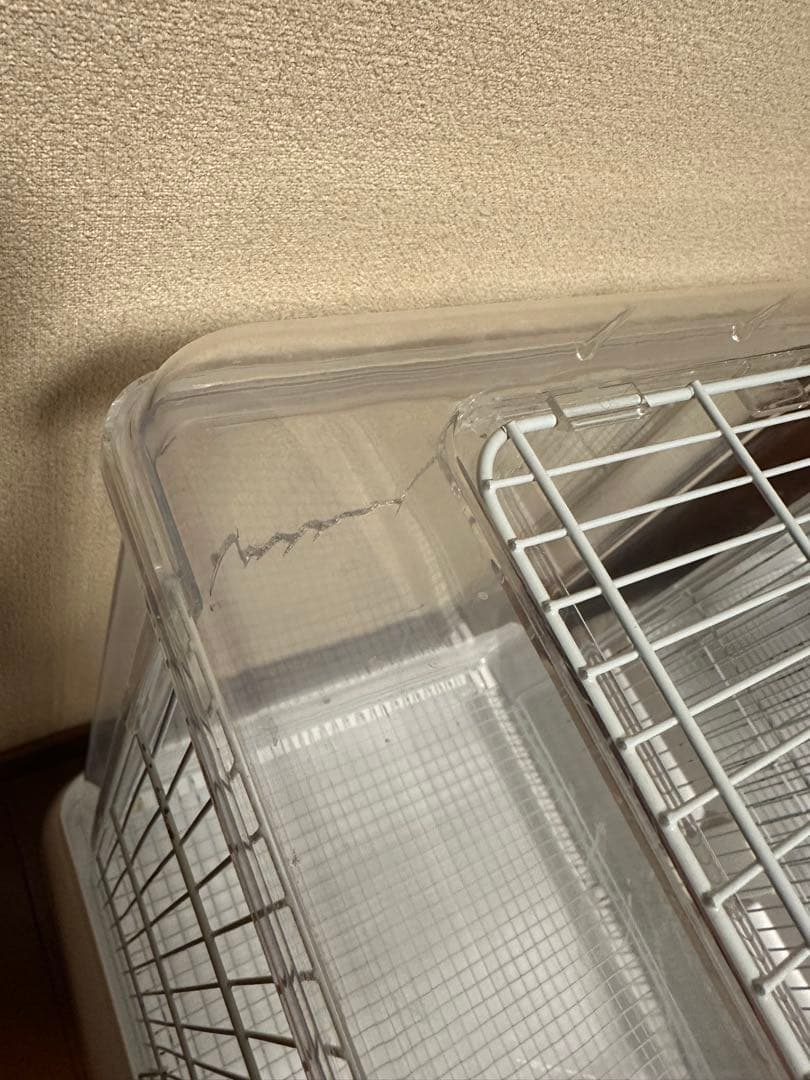 クリアバード40 2個