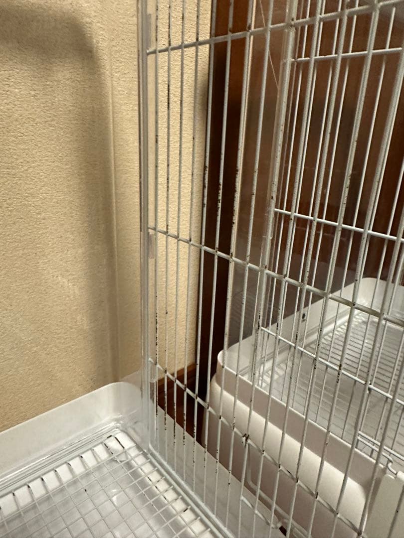 クリアバード40 2個