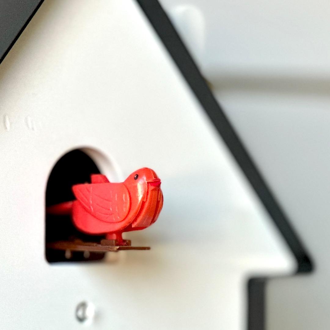 Diamantini & Domeniconiの鳩時計 クックー メリディアーナ