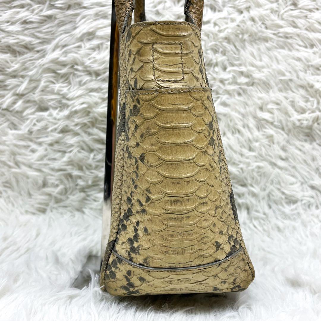 超希少 ティファニー ハンドバッグ リアルパイソンレザー ロゴ金具