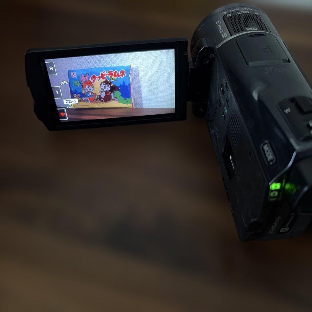 【ジャンク】SONY ビデオカメラHDR-CX550V