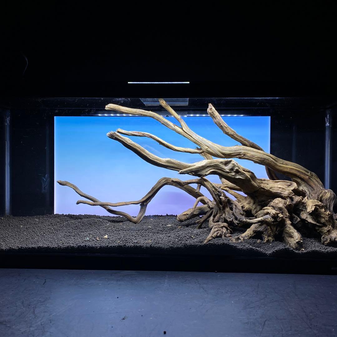 MSRW-6372 天然流木レイアウトセット　スリムウッド　アクアリウム