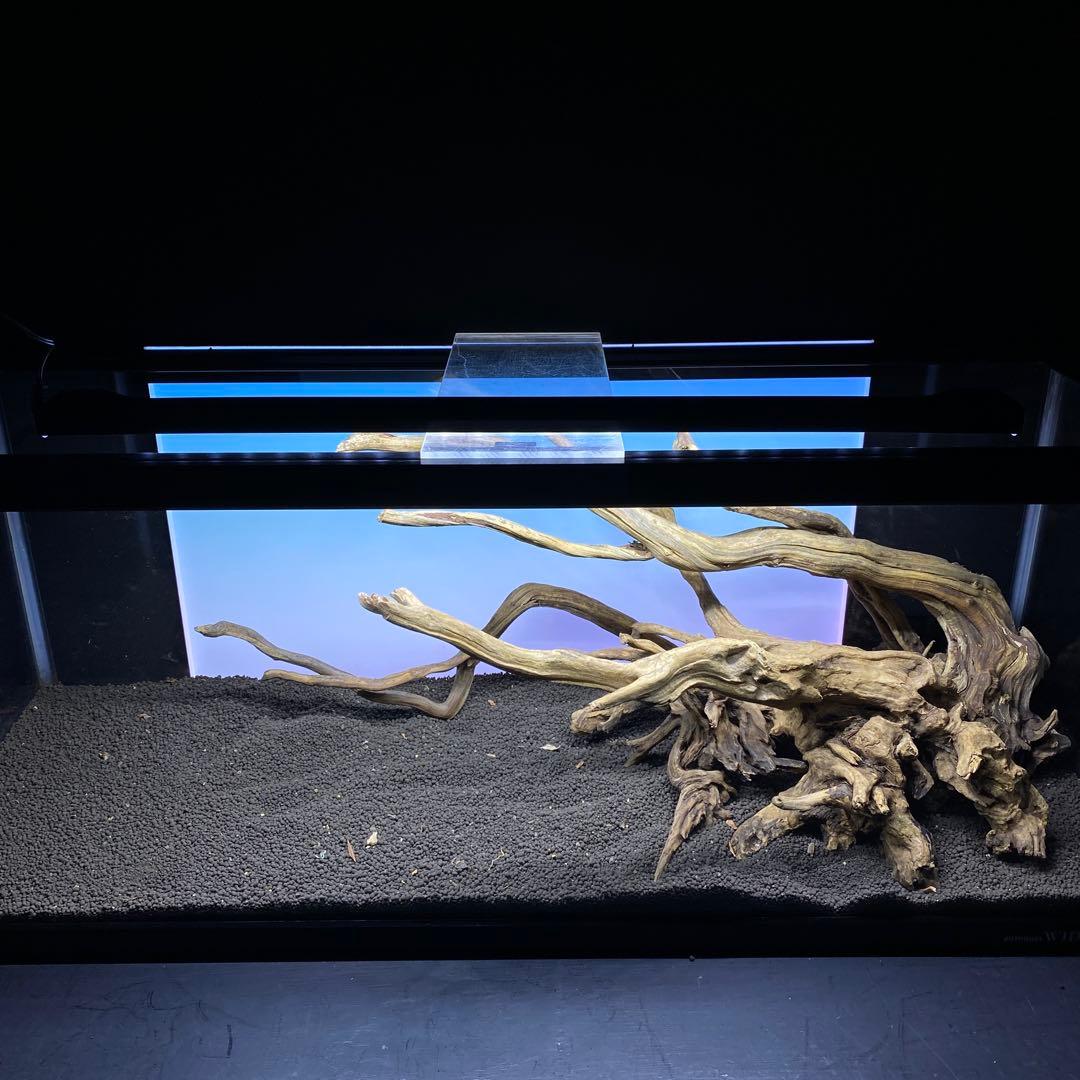 MSRW-6372 天然流木レイアウトセット　スリムウッド　アクアリウム