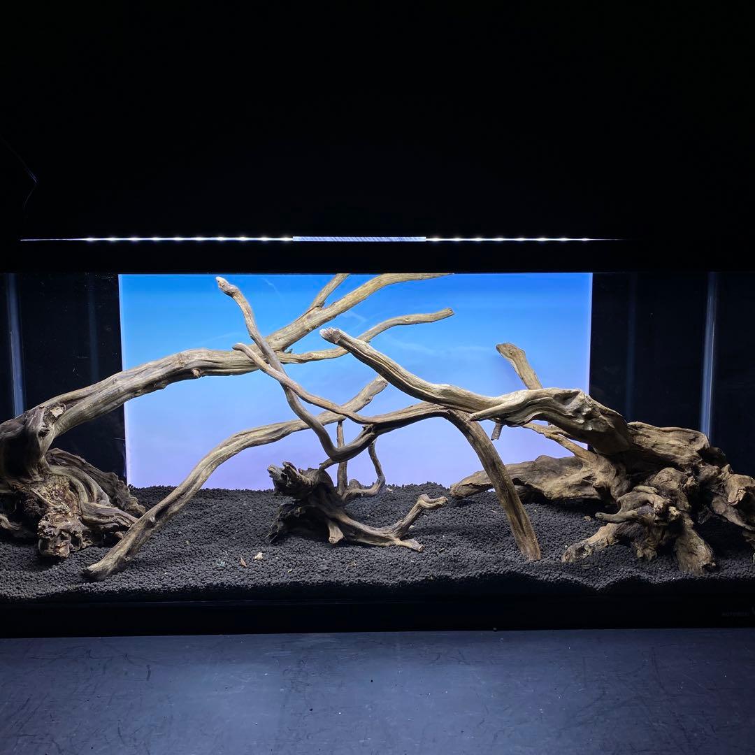 MSRW-6372 天然流木レイアウトセット　スリムウッド　アクアリウム