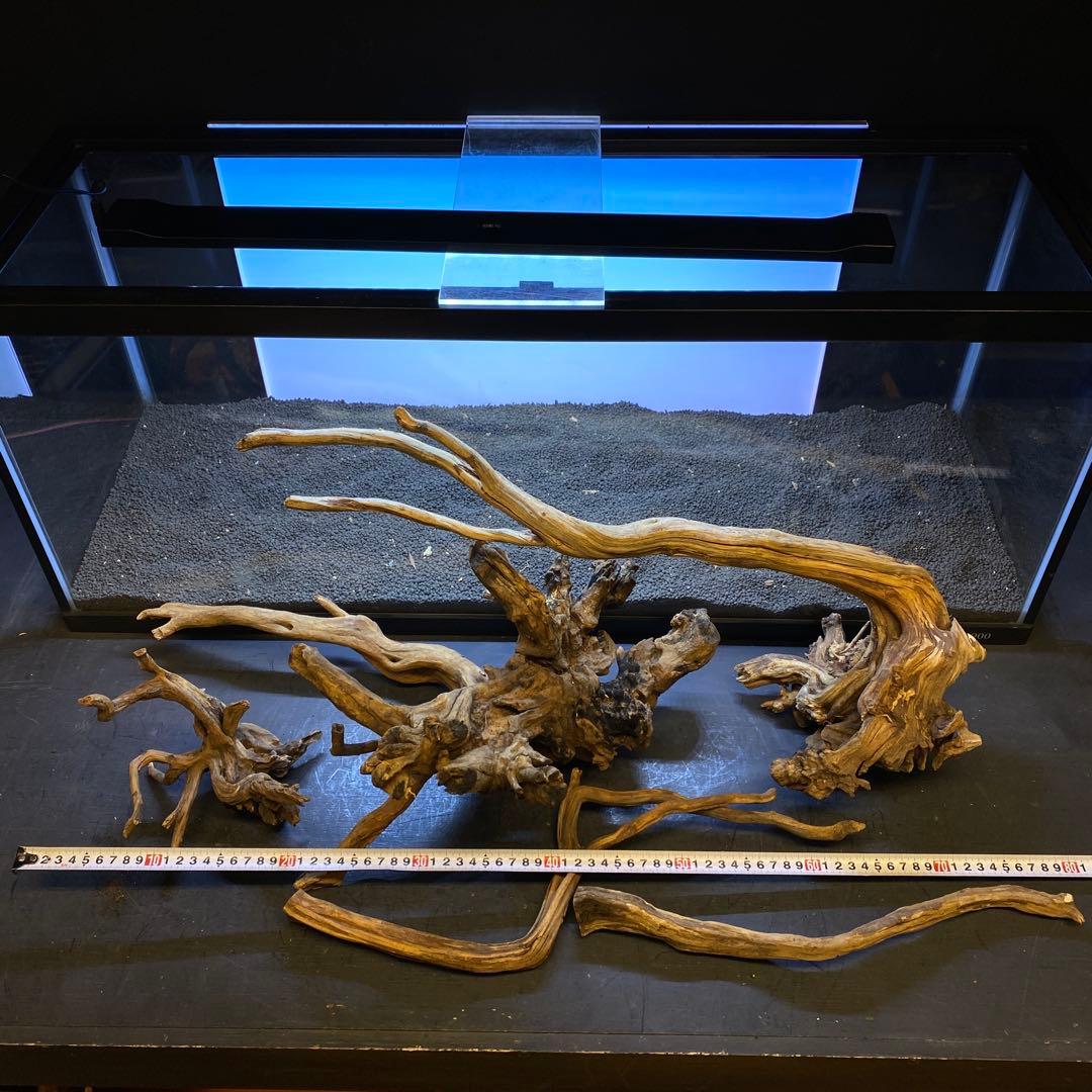 MSRW-6372 天然流木レイアウトセット　スリムウッド　アクアリウム