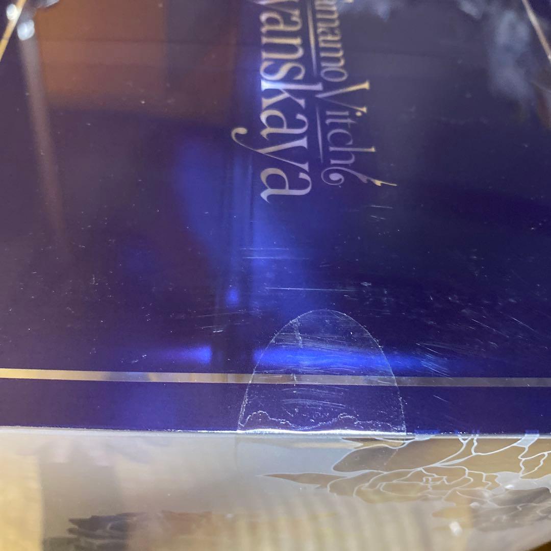 未開封 FLARE フレア タマモヴィッチ・コヤンスカヤ チャイナドレスVer.