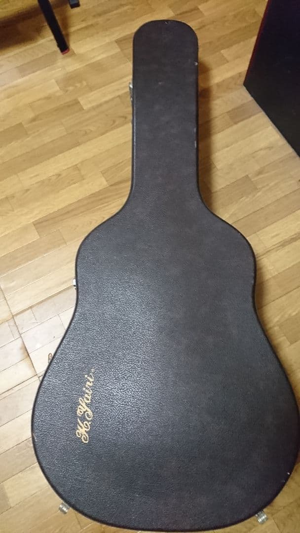 矢入　ヤイリ　yairi RAY-601