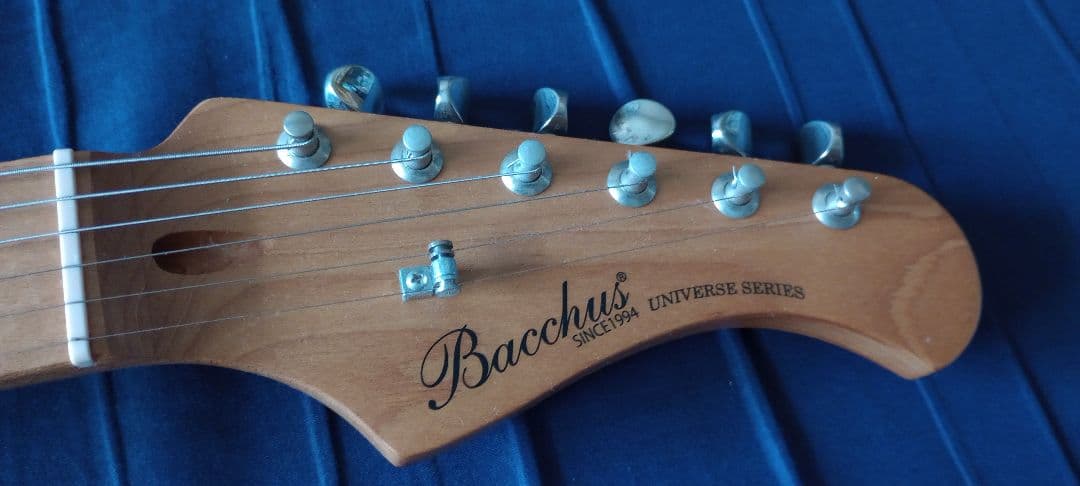 BACCHUS バッカス TAC24 STD-RSM/M OWH