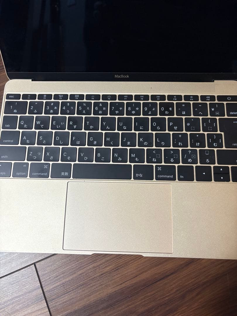 MacBook Retina, 12inch, 2015年(SSD512gb)